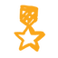 feature icon